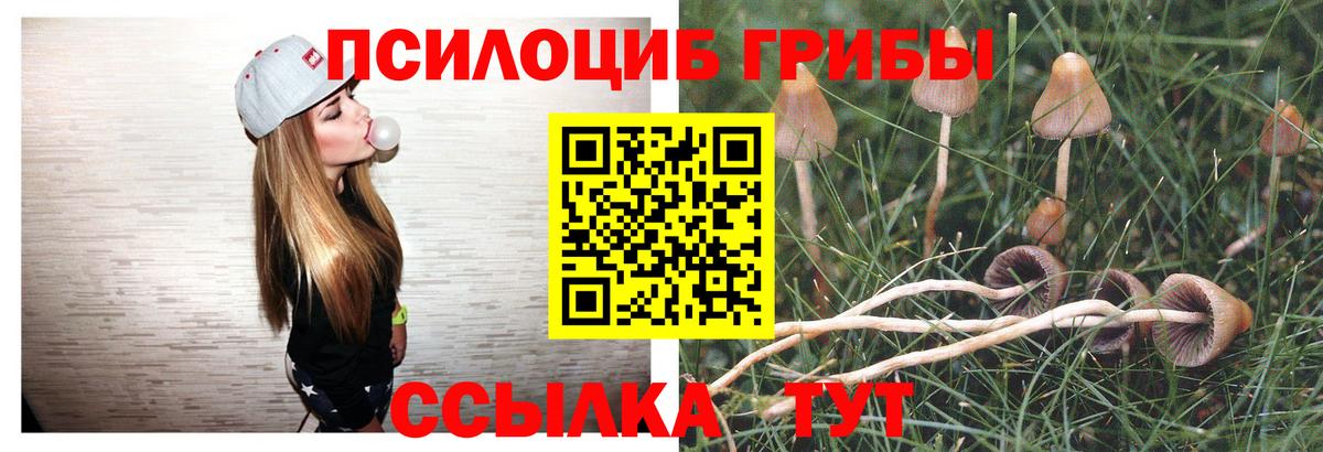 Псилоцибиновые грибы Magic Shrooms Усолье-Сибирское
